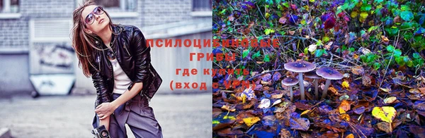 прущая мука Алзамай