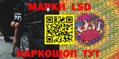 стафф Заволжье