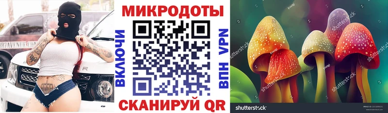 Псилоцибиновые грибы Psilocybe  Ливны 